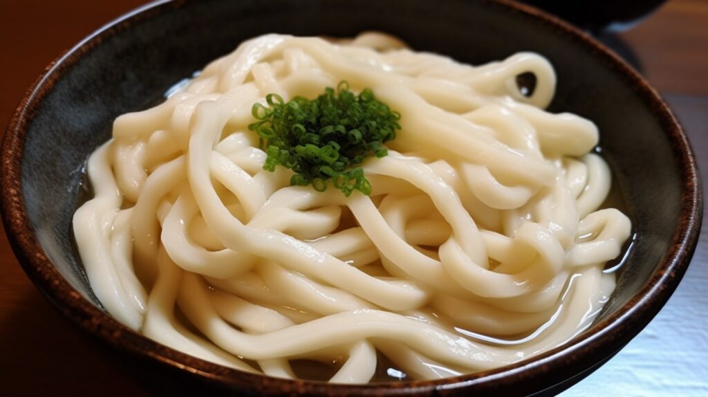 udon noodles